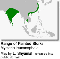 Range of the Painted Stork