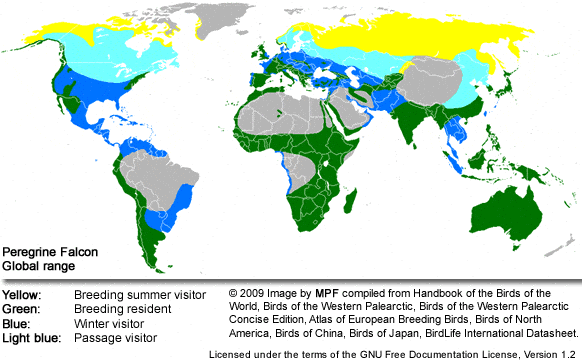 Peregrine Falcons Distribution Map