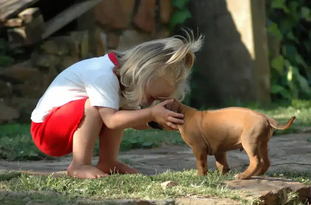 Small Child With Puppy
