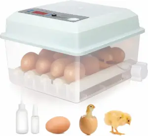 The Best Egg Incubators